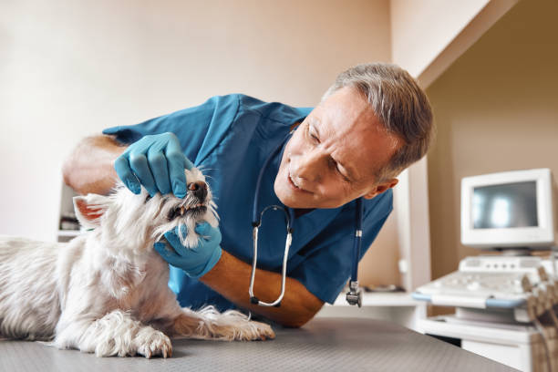 Best Emergency Broken Tooth Repair in Reinholds, PA